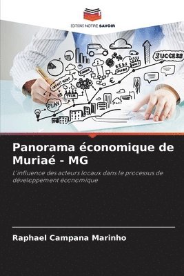 Panorama économique de Muriaé - MG
