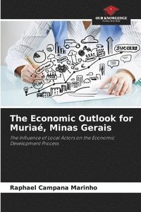 bokomslag The Economic Outlook for Muriaé, Minas Gerais