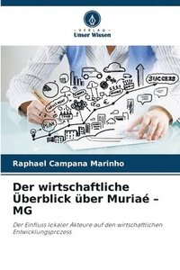 bokomslag wirtschaftliche Überblick über Muriaé - MG