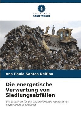 bokomslag energetische Verwertung von Siedlungsabfällen