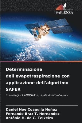 Daniel Noe Coaguila Nuñez, Fernando Braz T Hernandez, Antônio H de C Teixeira, Fernando Braz T. Hernandez, Antônio H. de C. Teixeira - Determinazione dell'evapotraspirazione con applicazione dell'algoritmo SAFER, Häftad