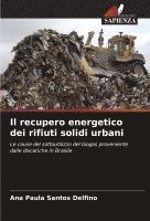 bokomslag Il recupero energetico dei rifiuti solidi urbani