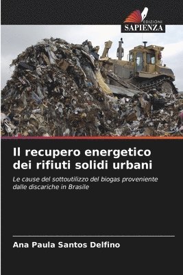 bokomslag Il recupero energetico dei rifiuti solidi urbani