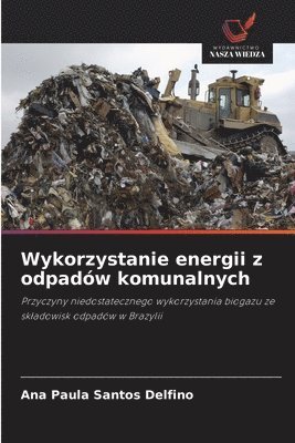 bokomslag Wykorzystanie energii z odpadów komunalnych