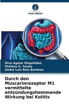 Diva Aguiar Magalhães, Stefany G. Sousa, André Luiz Reis Barbosa - Durch den Muscarinrezeptor M1 vermittelte entzündungshemmende Wirkung bei Kolitis, Häftad