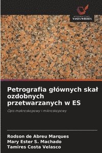 bokomslag Petrografia glównych skal ozdobnych przetwarzanych w ES