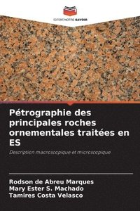 bokomslag Pétrographie des principales roches ornementales traitées en ES
