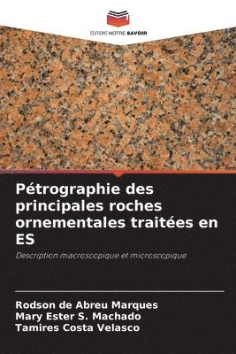 bokomslag Pétrographie des principales roches ornementales traitées en ES