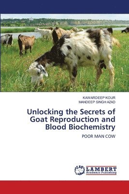 bokomslag Unlocking the Secrets of Goat Reproduction and Blood Biochemistry