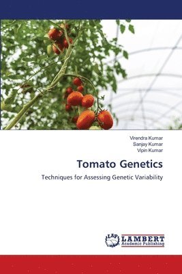 bokomslag Tomato Genetics