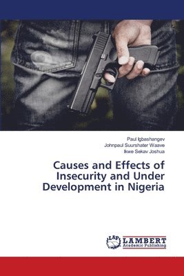 bokomslag Causes and Effects of Insecurity and Under Development in Nigeria