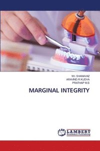 bokomslag Marginal Integrity