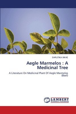 Aegle Marmelos 1