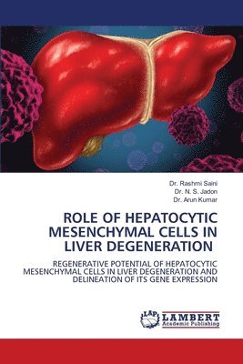 bokomslag Role of Hepatocytic Mesenchymal Cells in Liver Degeneration