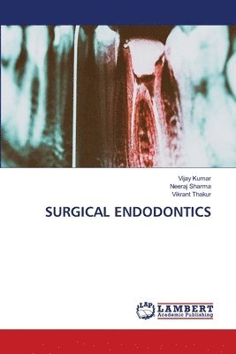 bokomslag Surgical Endodontics