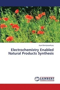 bokomslag Electrochemistry Enabled Natural Products Synthesis