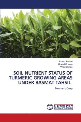 bokomslag Soil Nutrient Status of Turmeric Growing Areas Under Basmat Tahsil