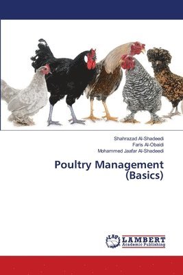 bokomslag Poultry Management (Basics)