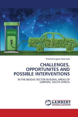 bokomslag Challenges, Opportunites and Possible Interventions