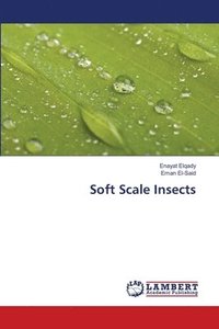 bokomslag Soft Scale Insects