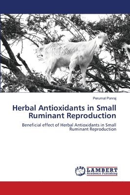 Perumal Ponraj - Herbal Antioxidants in Small Ruminant Reproduction, Häftad