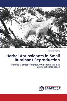 Herbal Antioxidants in Small Ruminant Reproduction 1