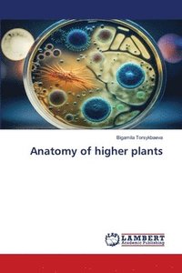 bokomslag Anatomy of higher plants