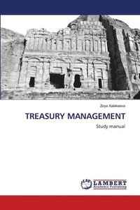 bokomslag Treasury Management