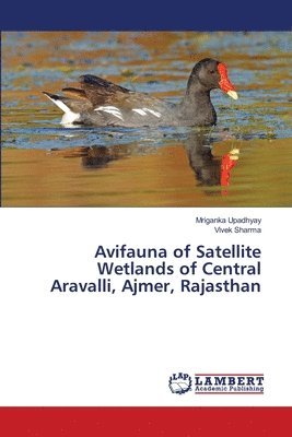 bokomslag Avifauna of Satellite Wetlands of Central Aravalli, Ajmer, Rajasthan