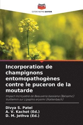 Incorporation de champignons entomopathogènes contre le puceron de la moutarde