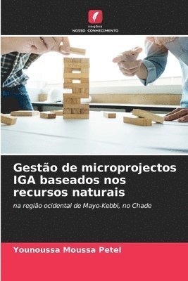 Younoussa Moussa Petel - Gestão de microprojectos IGA baseados nos recursos naturais, Häftad