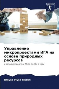 bokomslag &#1059;&#1087;&#1088;&#1072;&#1074;&#1083;&#1077;&#1085;&#1080;&#1077; &#1084;&#1080;&#1082;&#1088;&#1086;&#1087;&#1088;&#1086;&#1077;&#1082;&#1090;&#1072;&#1084;&#1080; &#1048;&#1043;&#1040;