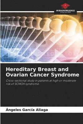 bokomslag Hereditary Breast and Ovarian Cancer Syndrome