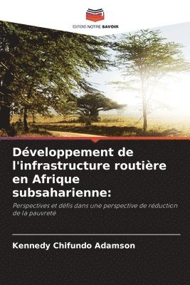 Dveloppement de l'infrastructure routire en Afrique subsaharienne 1