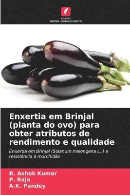 B Ashok Kumar, P Raja, A K Pandey - Enxertia em Brinjal (planta do ovo) para obter atributos de rendimento e qualidade, Häftad