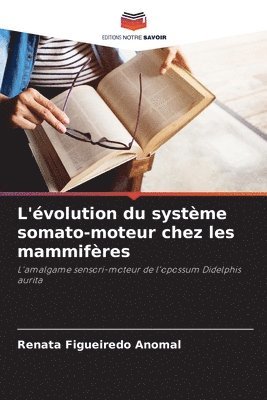 bokomslag L'évolution du système somato-moteur chez les mammifères