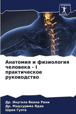 Анатомия и физиология человека - I практиче&#1