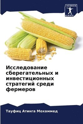 Тауфиц Атин Мохаммед, &#1052;&#1086;&#1093;&#1072;&#1084;&#108, ¿¿¿¿¿¿ ¿¿¿¿ ¿¿¿¿¿¿¿¿ - Исследование сберегательных и инвестици&, Häftad