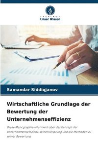 bokomslag Wirtschaftliche Grundlage der Bewertung der Unternehmenseffizienz