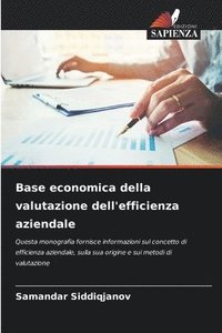 bokomslag Base economica della valutazione dell'efficienza aziendale