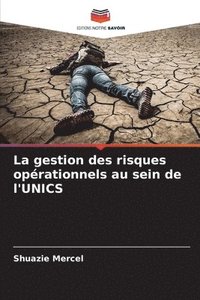 bokomslag La gestion des risques oprationnels au sein de l'UNICS