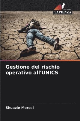 bokomslag Gestione del rischio operativo all'UNICS