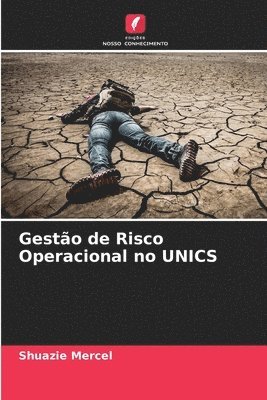bokomslag Gestão de Risco Operacional no UNICS