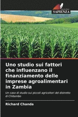 bokomslag Uno studio sui fattori che influenzano il finanziamento delle imprese agroalimentari in Zambia