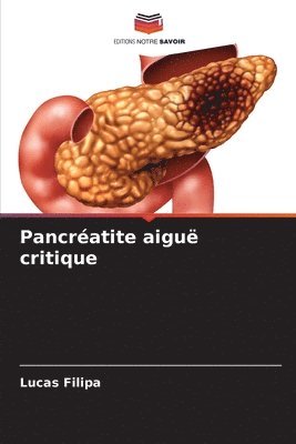 bokomslag Pancratite aigu critique