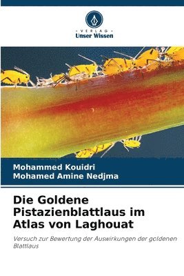 Goldene Pistazienblattlaus im Atlas von Laghouat