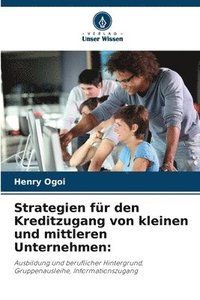 bokomslag Strategien fr den Kreditzugang von kleinen und mittleren Unternehmen