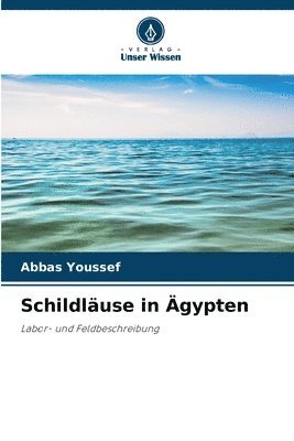 Schildluse in gypten 1