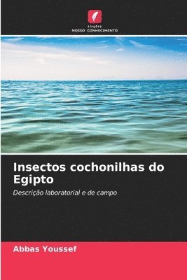 Insectos cochonilhas do Egipto 1