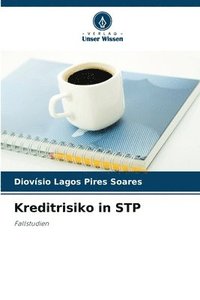 bokomslag Kreditrisiko in STP